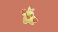 Shiny Makuhita (Image via TPC)